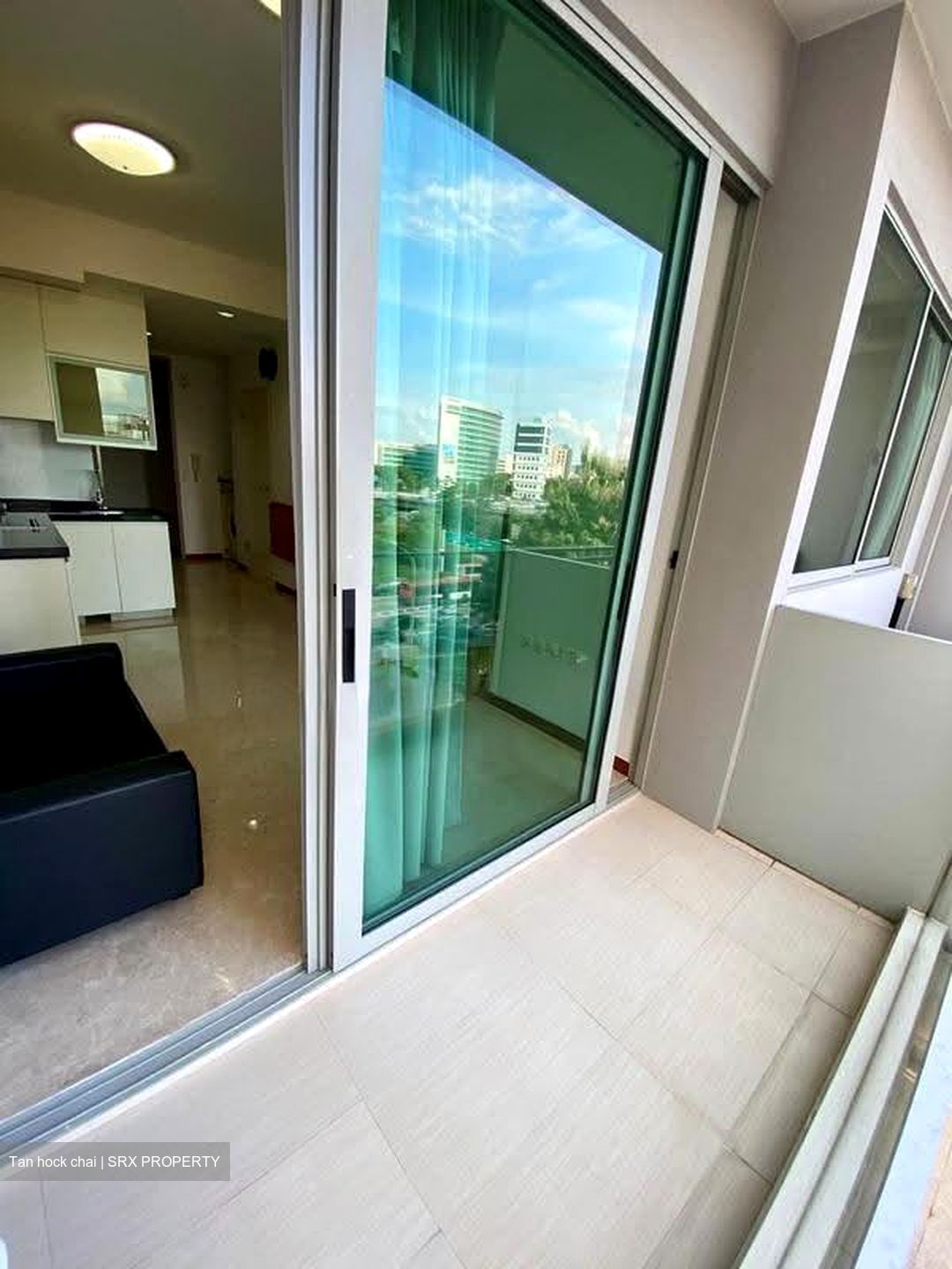 Opal Suites (D12), Apartment #635560721